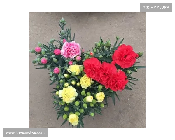 母亲节鲜花市场火爆 康乃馨芍药热销各地需求激增 母亲节鲜花市场火爆 康乃馨芍药热销各地需求激增